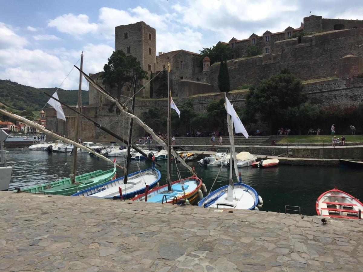 Location Vacances Entre Mer Et Montagnes Argelès-sur-Mer Dış mekan fotoğraf